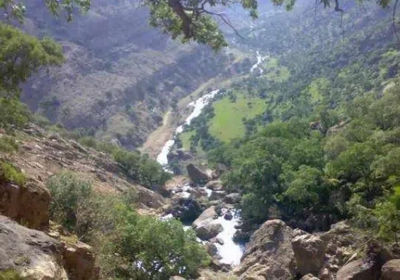 دشت شیمبار