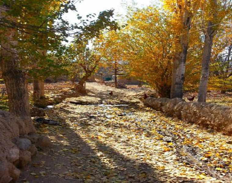 روستای طبر