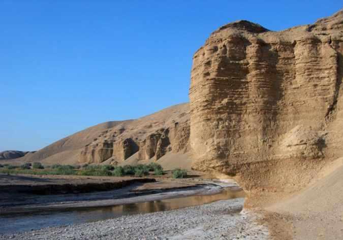 دلفینهای نمکی سمنان