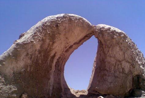 دلفینهای نمکی سمنان