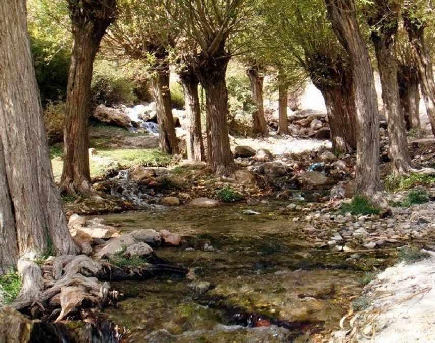 چشمه قلقل