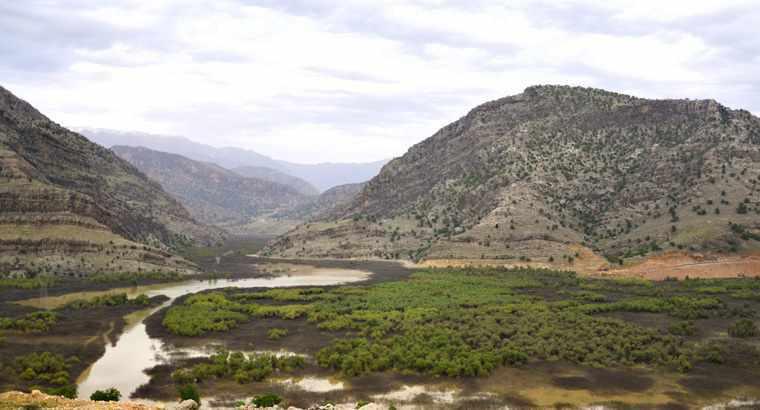 دشت شیمبار
