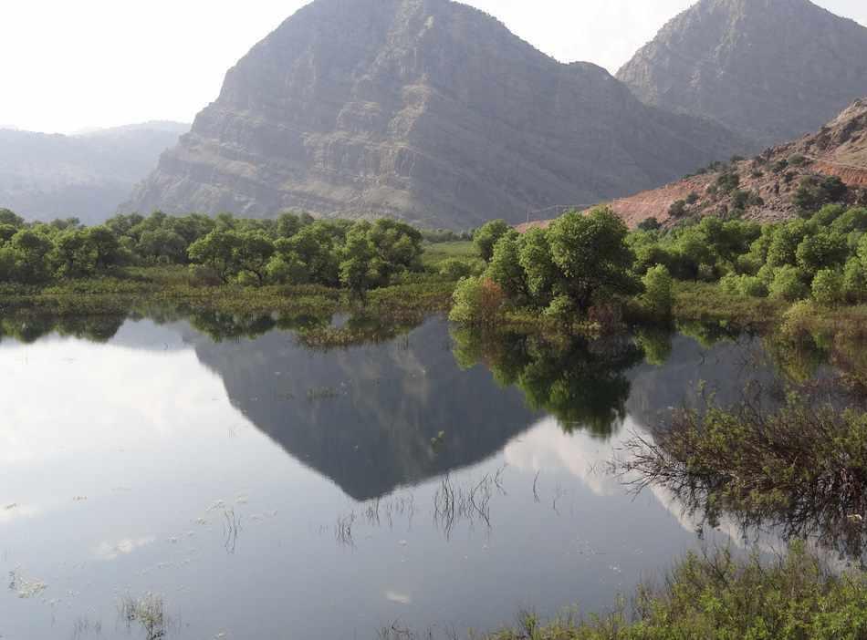 دشت شیمبار
