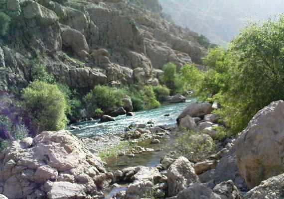 دشت شیمبار