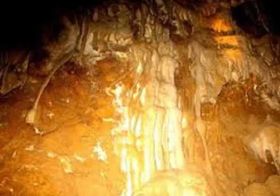 غارجفریز