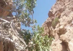 روستای سرند
