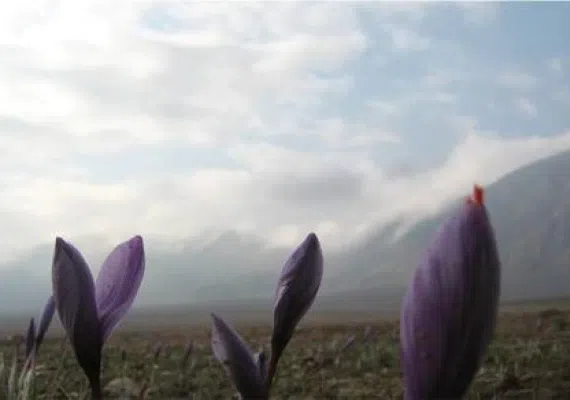 روستای استند جای دیدنی زیرکوه