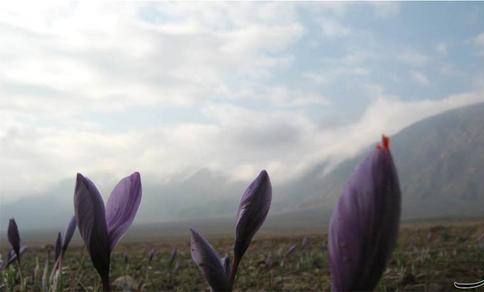 روستای استند جای دیدنی زیرکوه