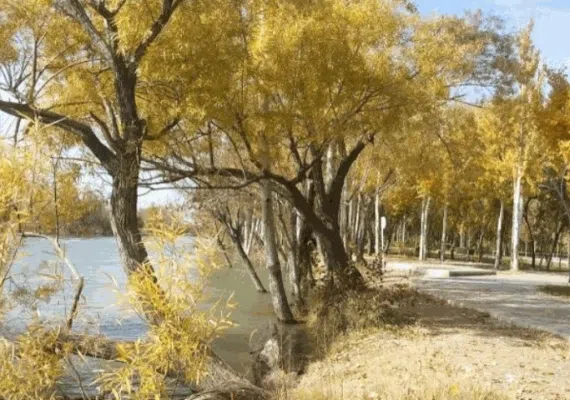 پارک ساحلی زرین شهر