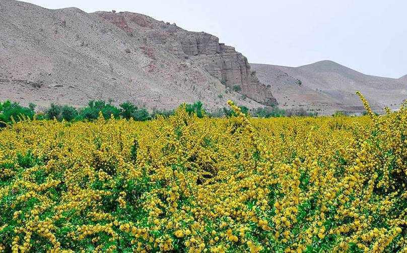 روستای خوان بهشتی گمشده در دل کویر