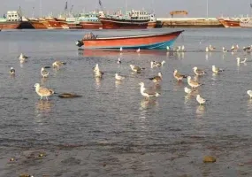 بندر و دریای چابهار، بهشت جاودان ایران