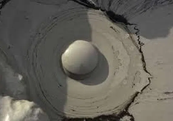 گل فشان پیرگل، گل هایی با خواص درمانی