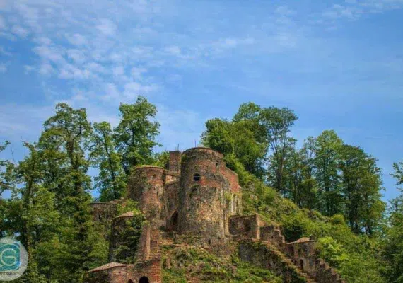 پارک جنگلی گیسوم