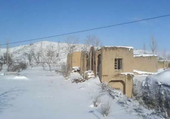 نوفرست