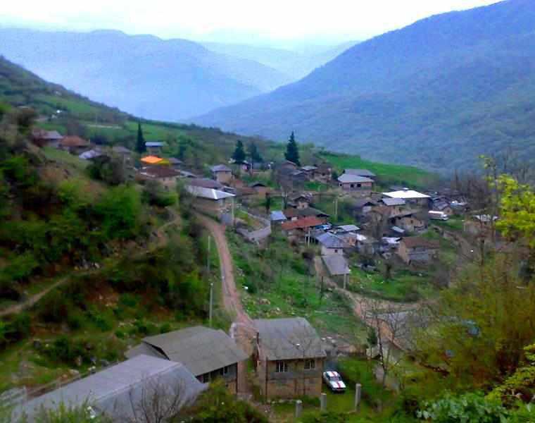 جنگل افراتخته علی آبادکتول