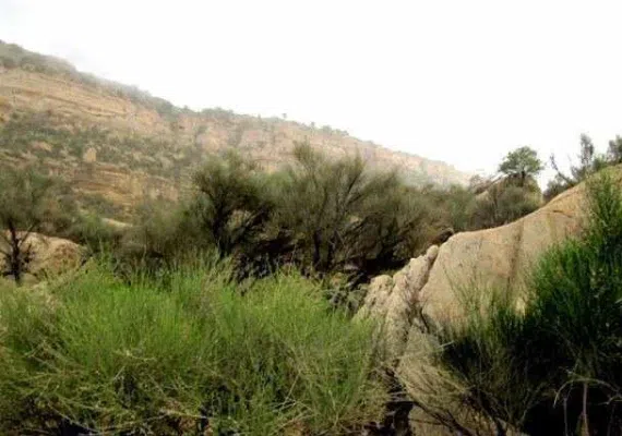 پناهگاه حیات وحش کوه سیاه