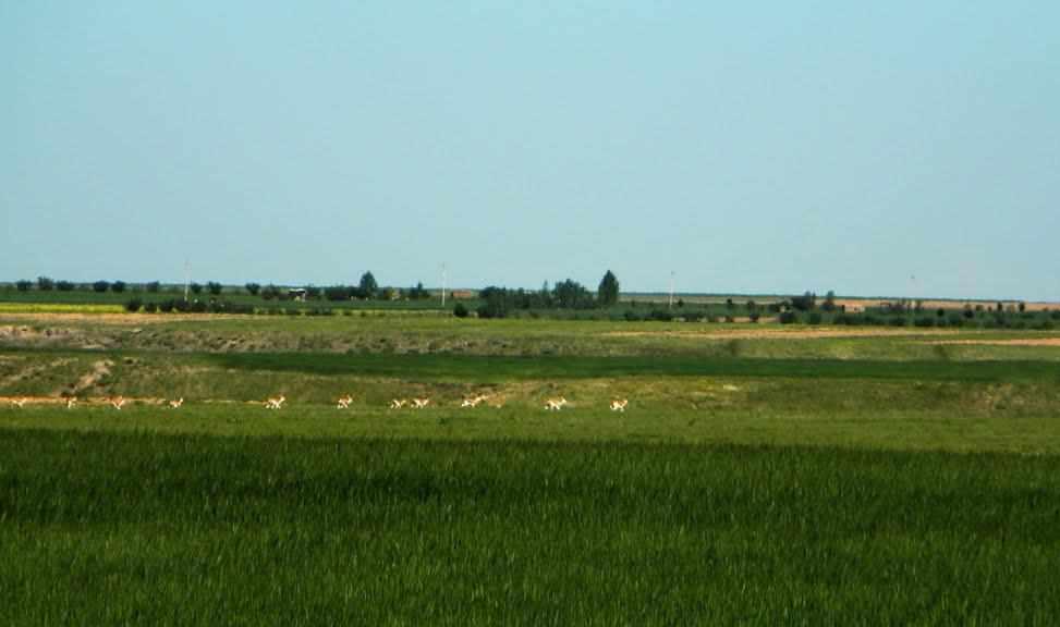 آبشار ماری دره سی، گشتی در طبیعت زیبای زنجان