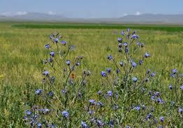 آبشار ماری دره سی، گشتی در طبیعت زیبای زنجان
