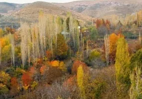 روستای برغان، بهشتی در ساوجبلاغ