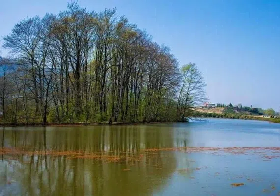 تالاب سوستان لاهیجان