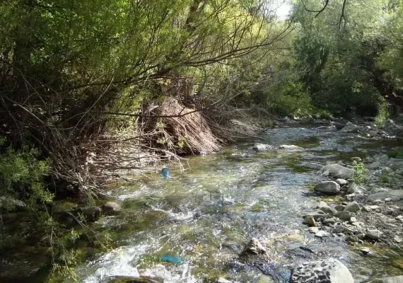 روستای برغان، بهشتی در ساوجبلاغ