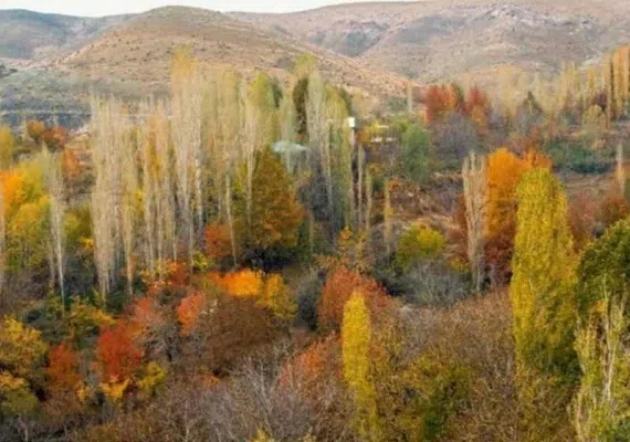 روستای برغان، بهشتی در ساوجبلاغ