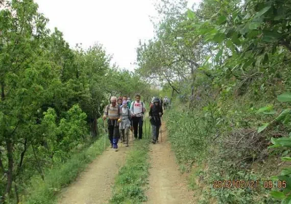 دره کن-سولقان، منطقه ای سرسبز