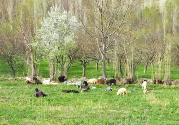 روستای هرانده فیروزکوه، چشم اندازی زیبا از طبیعت