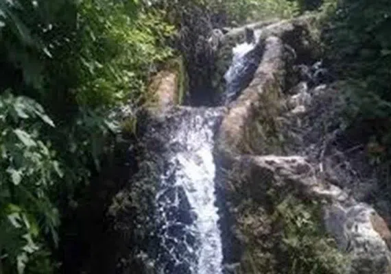 پارک جنگلی توسکا تهران