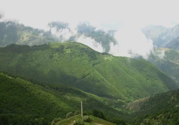 جنگل ارسباران، از زیباترین جنگل های ایران