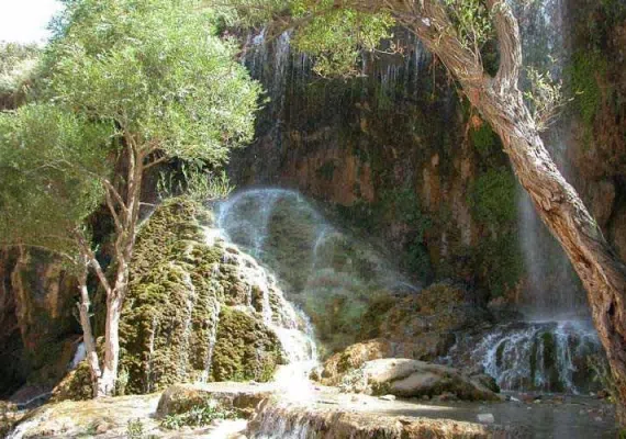 جنگل ارسباران، از زیباترین جنگل های ایران