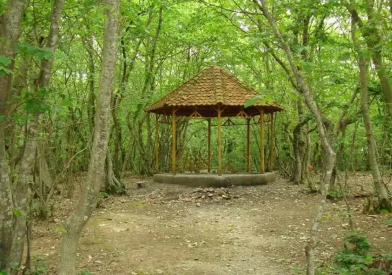پارک جنگلی سراوان