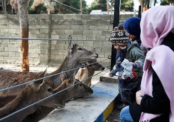بوستان ملت تهران