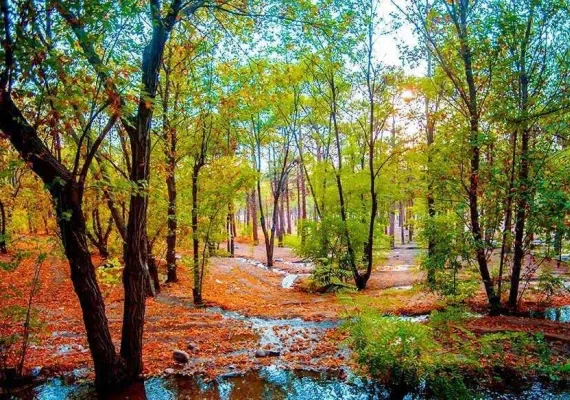 پارک جنگلی چیتگر، پارکی با امکانات متعدد