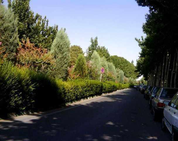 پارک جنگلی پردیسان، پارکی با طبیعتی جذاب
