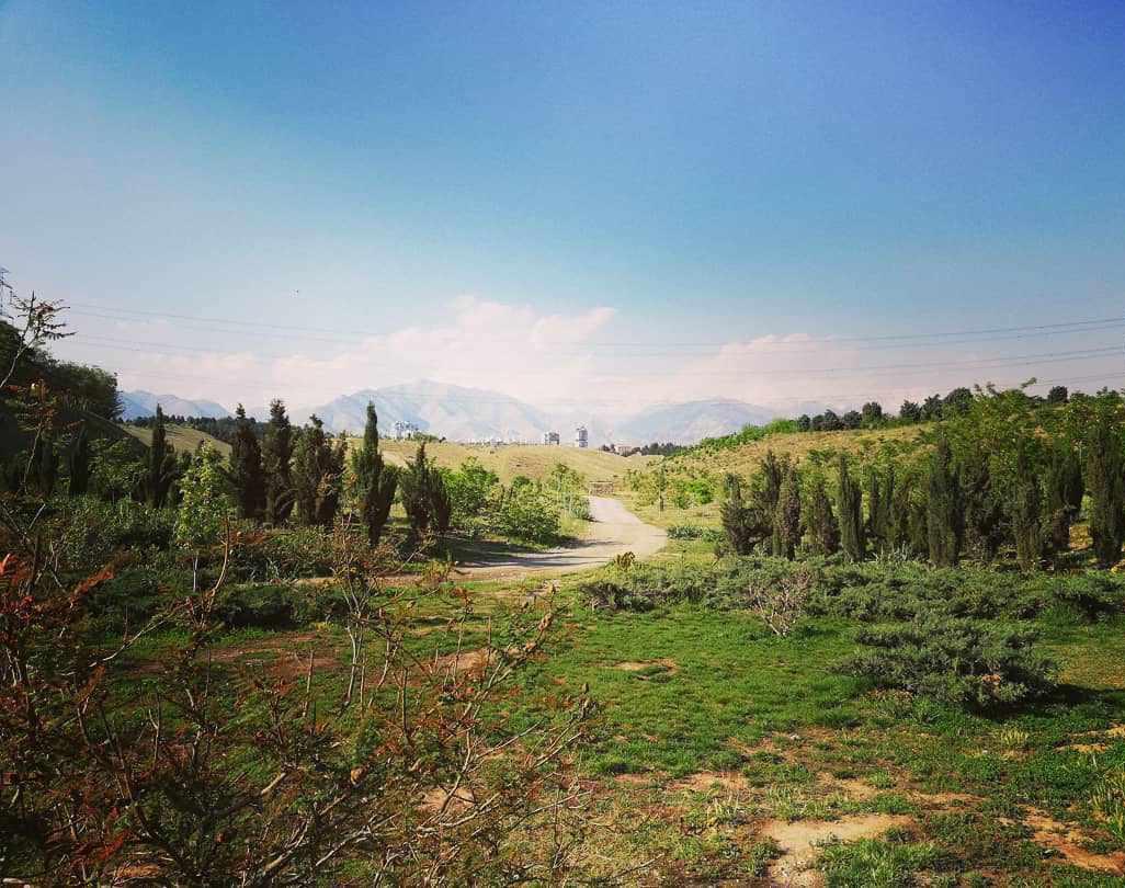 پارک جنگلی پردیسان، پارکی با طبیعتی جذاب