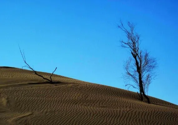 کویر زرین یزد