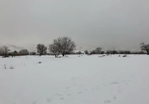 روستای جزینان