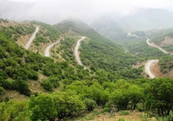 گردشگاه میان کتل شیراز