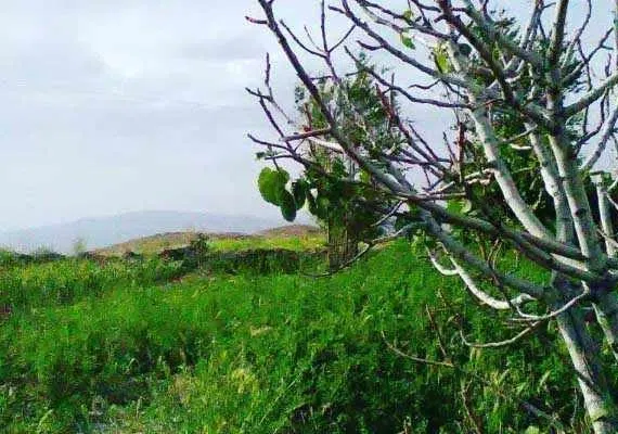 روستای اسفهرود
