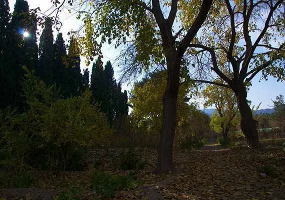 باغ و عمارت رحیم آباد