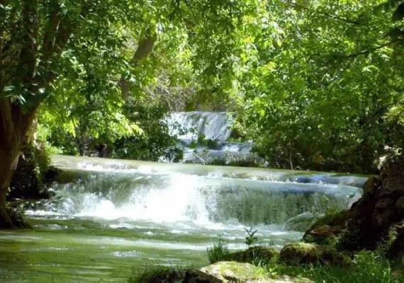 بهشت گمشده