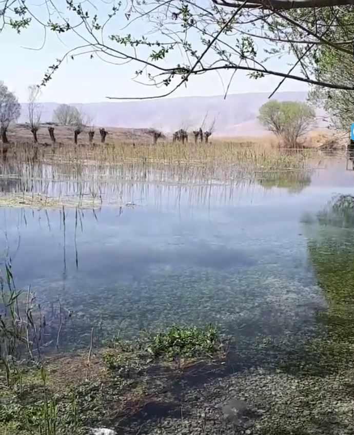باتلاق گوربهرام اقلید
