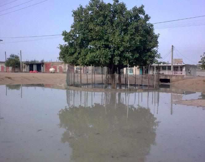 روستای توریان