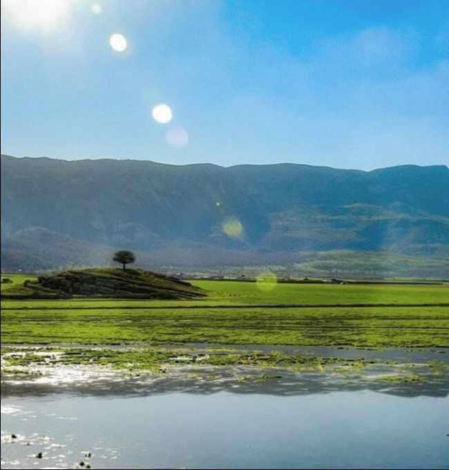 منطقه حفاظت شده ارژن و پریشان