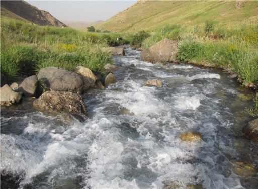 گردشگاه چشمه سلمانی