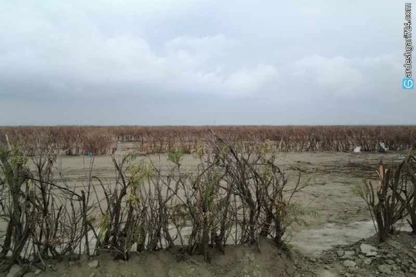 پارک ملی دریاچه ارومیه