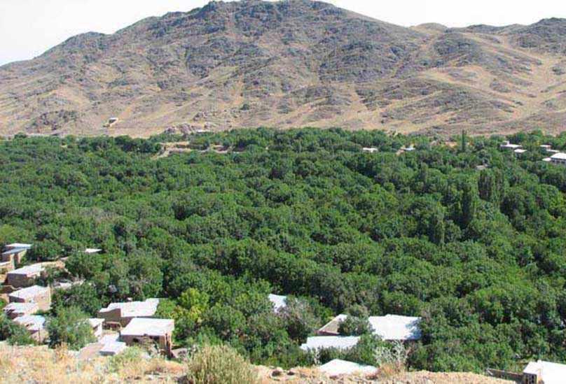 روستای فردو با شهرتی جهانی
