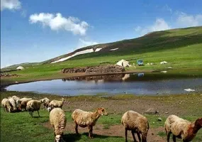 دشت مغان