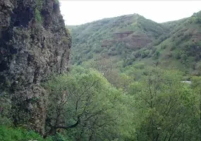 جنگل های پردانان